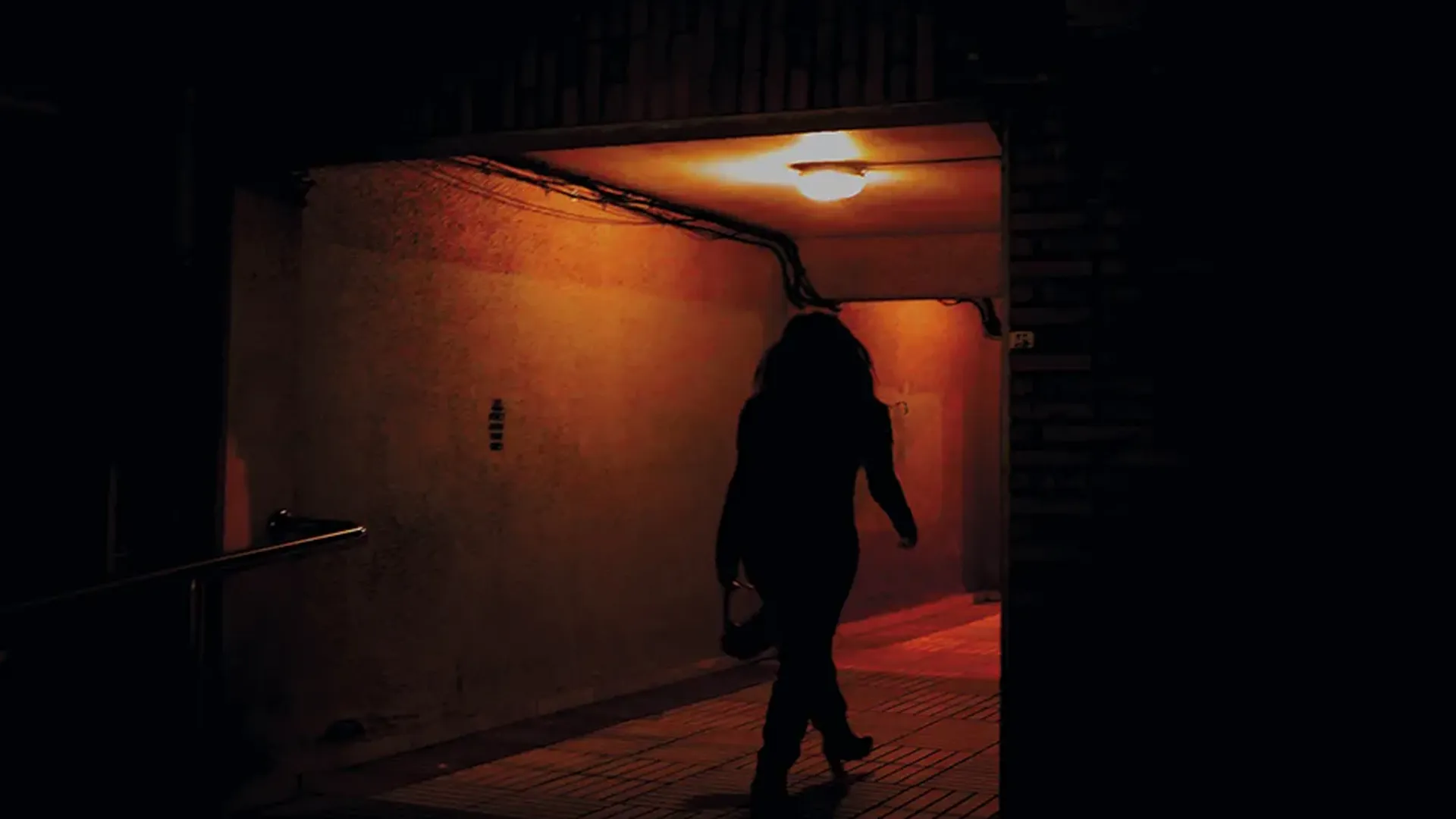 descripcion de las fotos